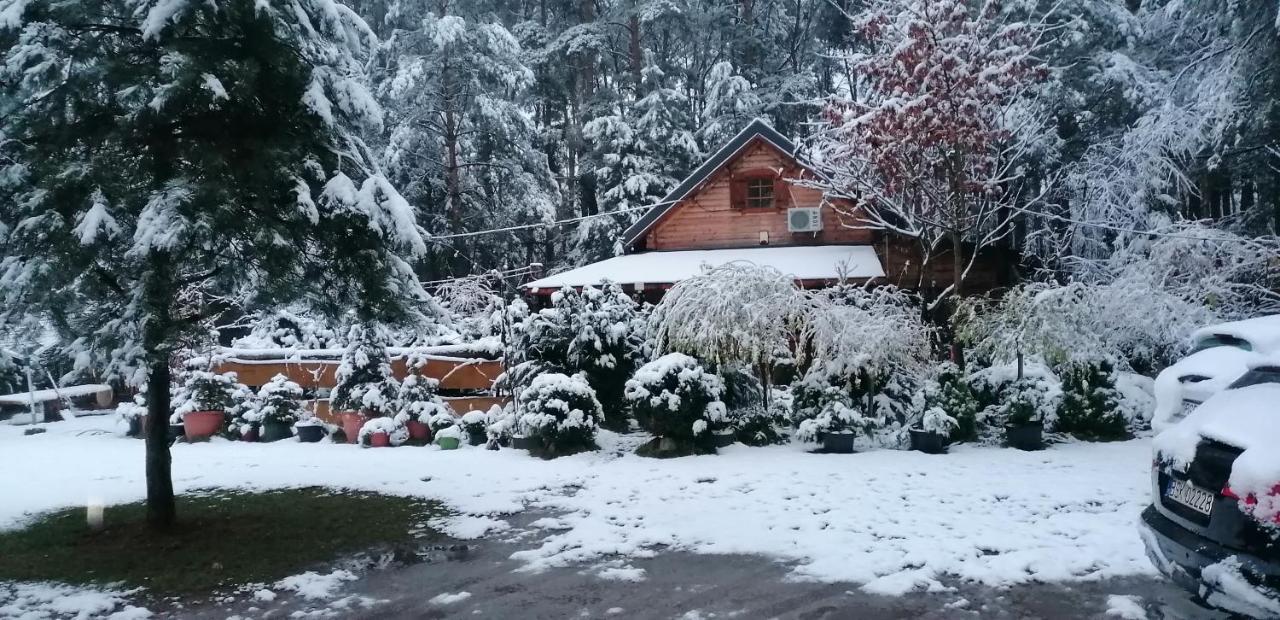 Domek W Ogrodzie Caloroczny 800M Od Parku Wodnego Suntago Ranczo Gold Mania Krzyzowka  Bagian luar foto